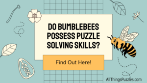Do Bumblebees Possess Puzzle Solving Skills